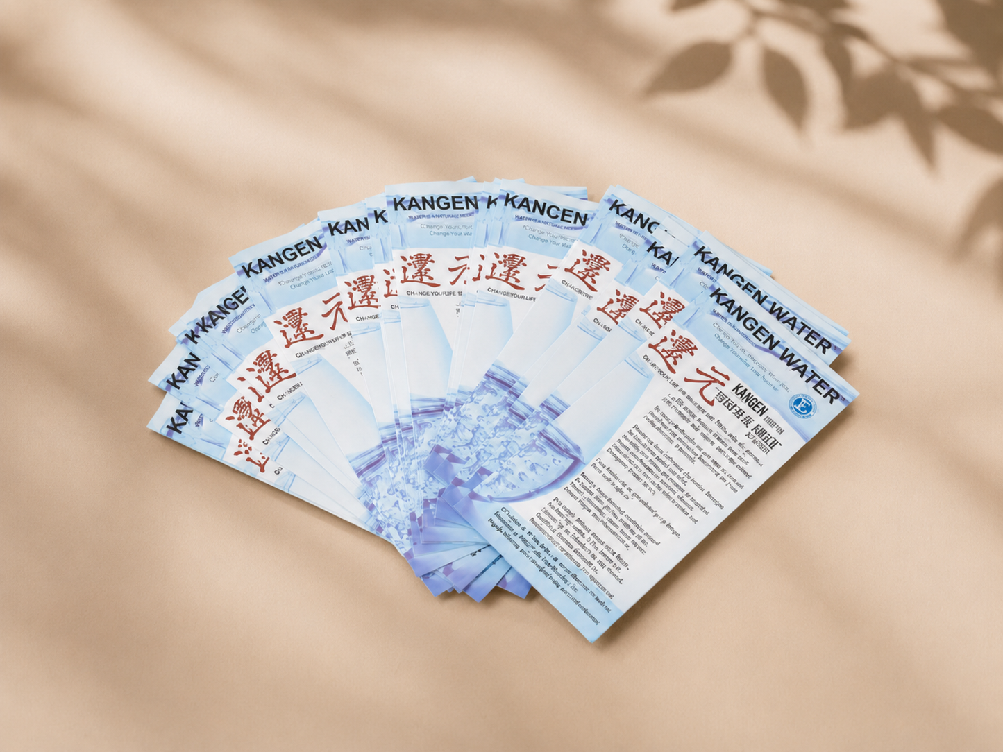 Pack de 25 trípticos para presentación de producto